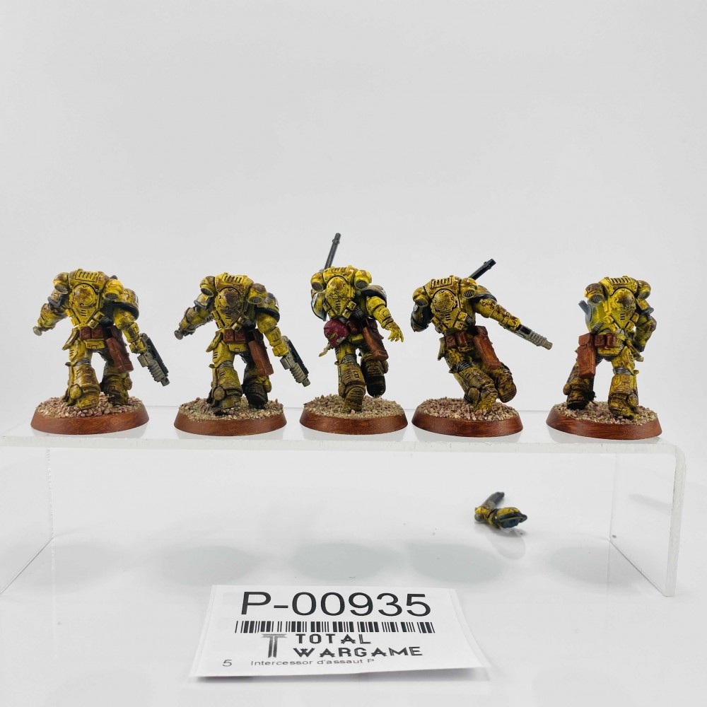 Assault intercessors