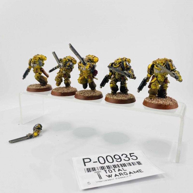 Assault intercessors