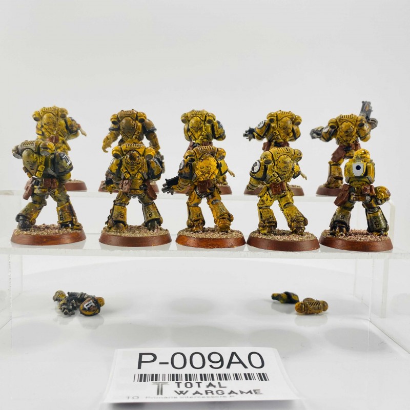 Primaris intercessors