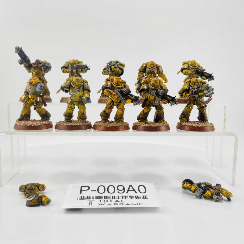 Primaris intercessors