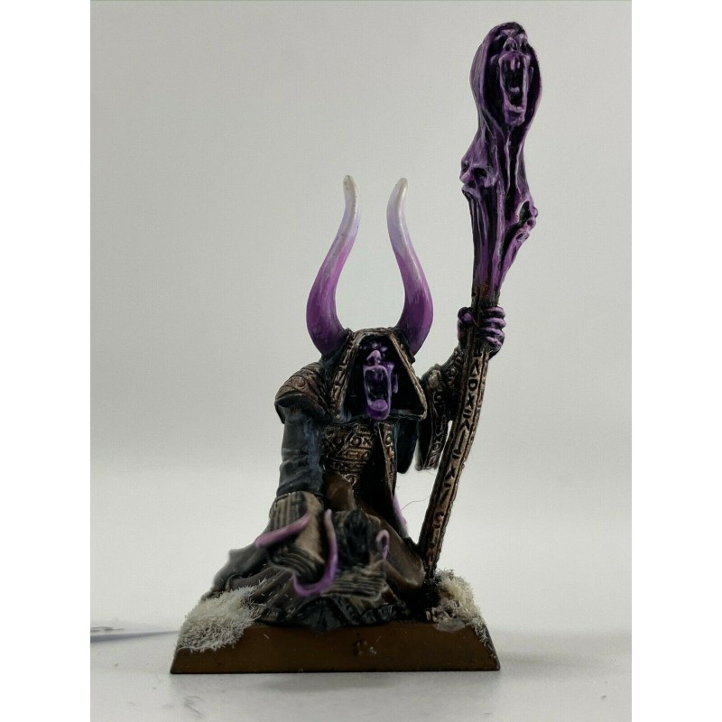 Sorcier de Nurgle Métal
