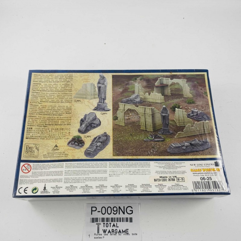 Ruines des terres du milieu...