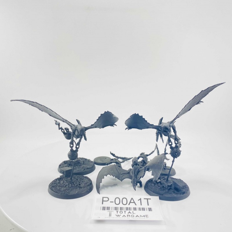 Chevaucheurs de Terradons