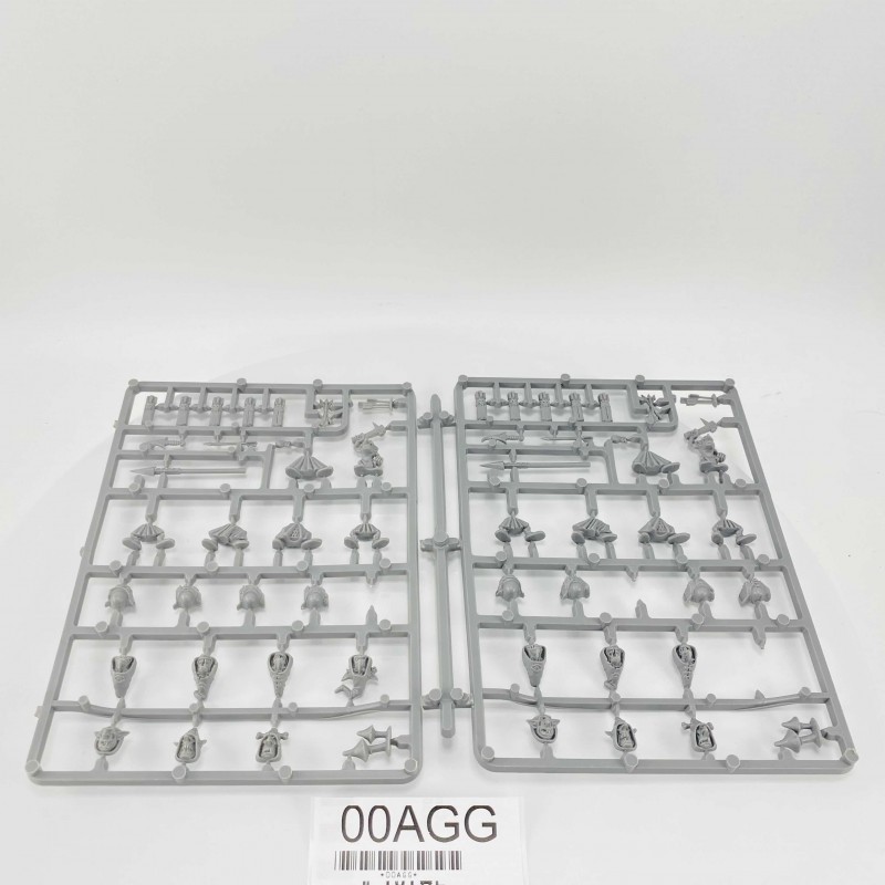 night goblin regiment box 2000