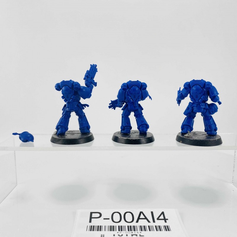 Primaris intercessors