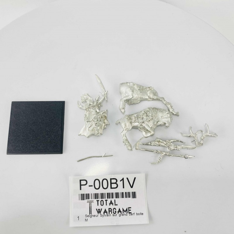 Wood Elf Hero on Stag box