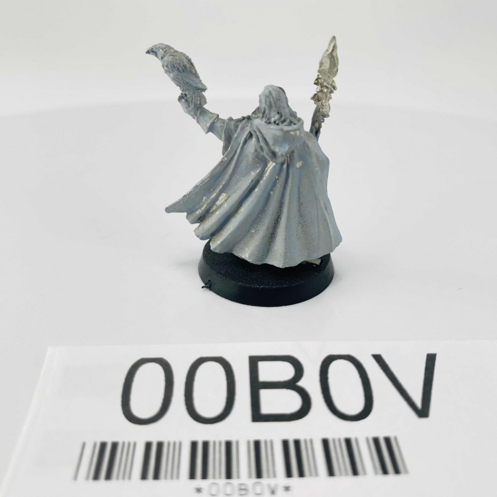 Warhammer Middle Earth - Radagast Le Brun Warhammer Middle Earth - Radagast Le Brun
