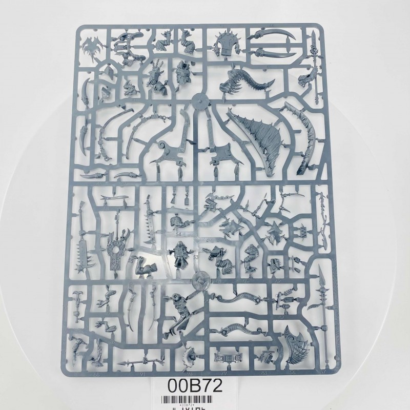 Skink Oracle on Troglodon