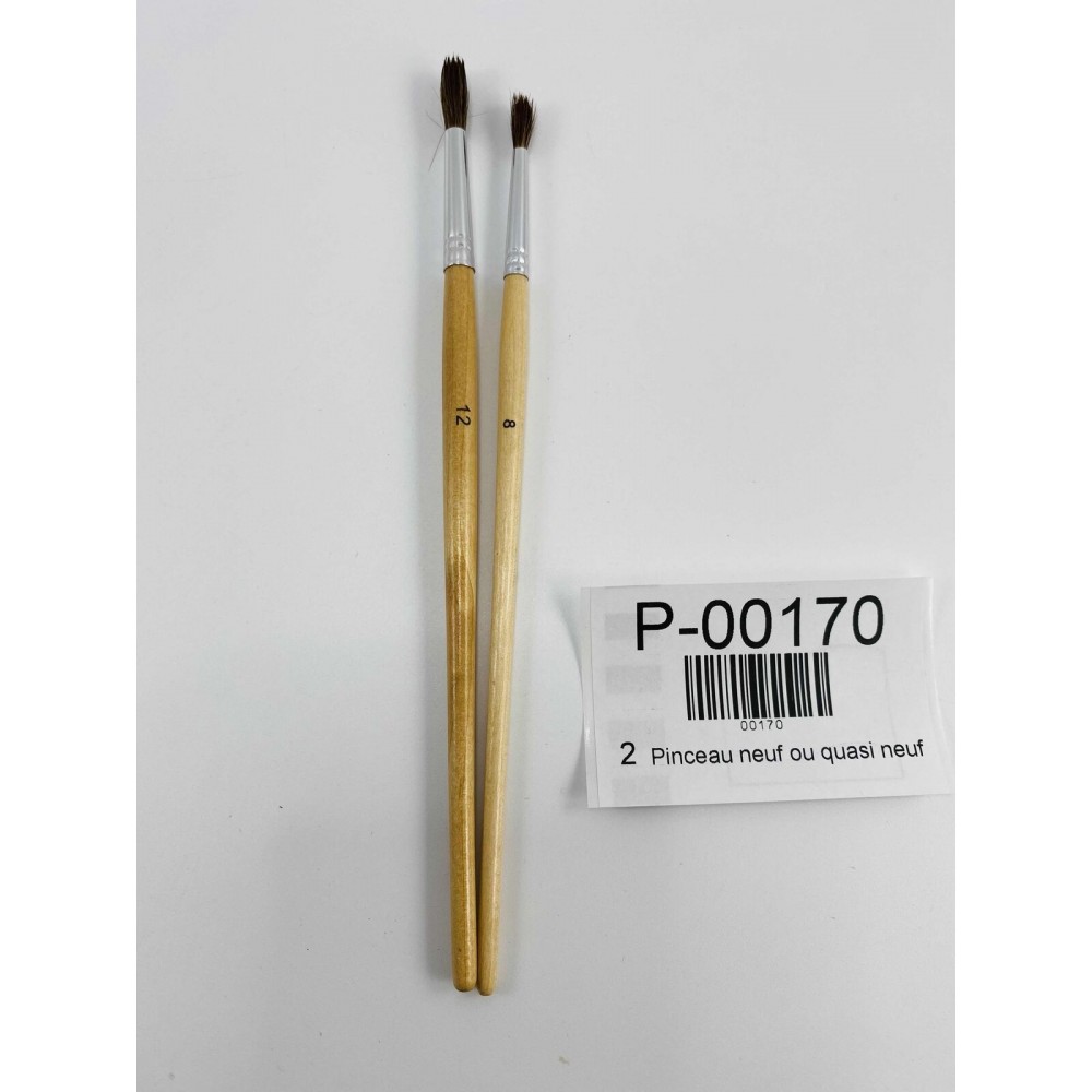 Pinceau neuf ou quasi neuf