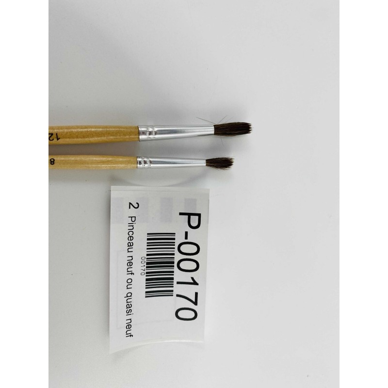 Pinceau neuf ou quasi neuf