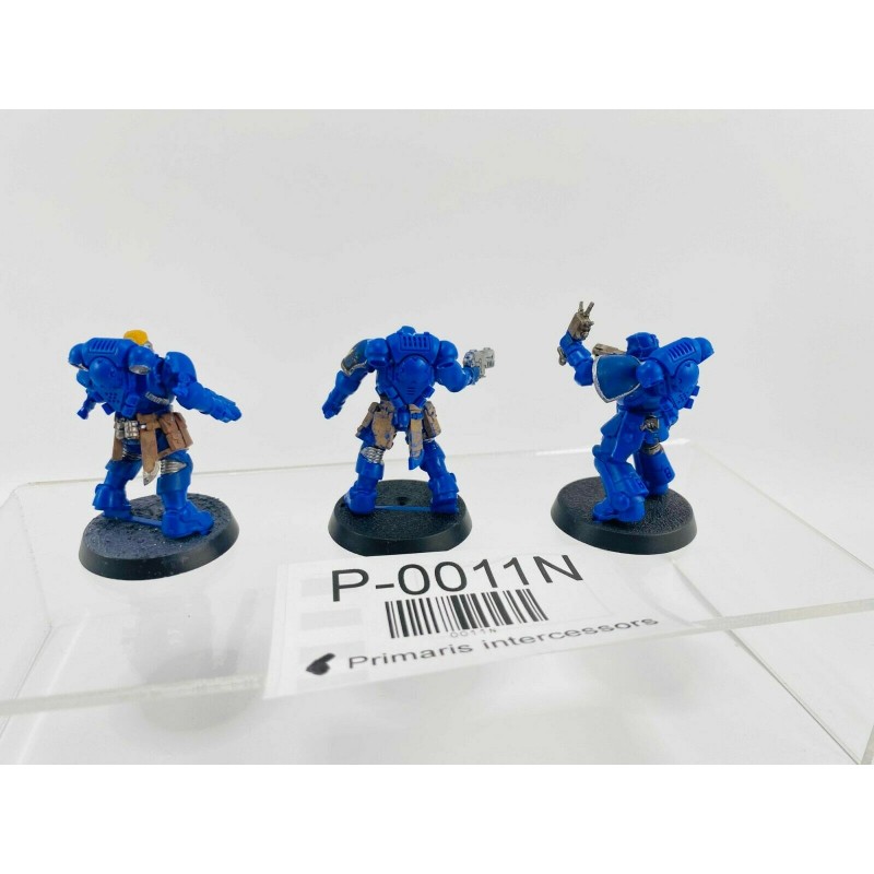 Primaris intercessors