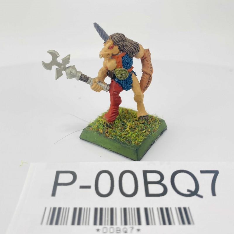 Hommes-bêtes realms of chaos