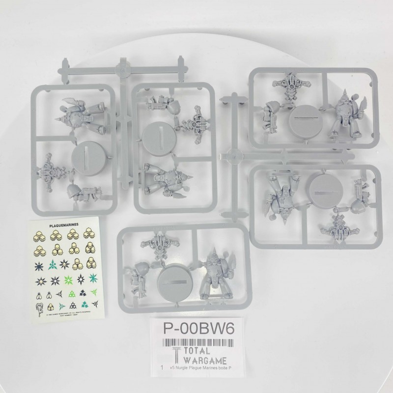 x5 Nurgle Plague Marines boîte