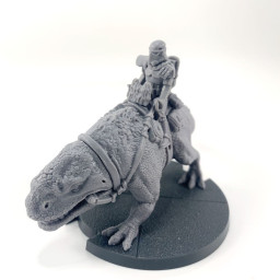 Dewback Rider VF