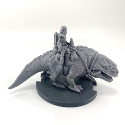 chevaucheur de dewback VF