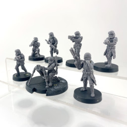 Imperial Shortroopers VF