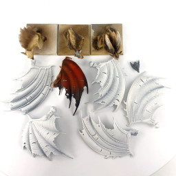 Vargheists/ Horreurs des...