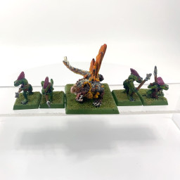 salamanders