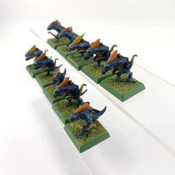 skinks
