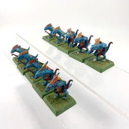 skinks