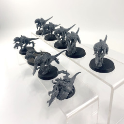 Termagants Leviathan box