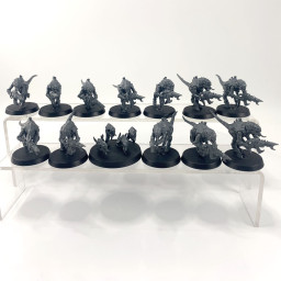 Termagants Leviathan box