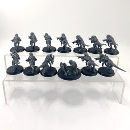 Termagants Leviathan box