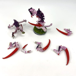 Rabiots