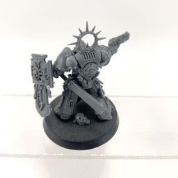 Space Marines Lieutenant With Storm Shield
