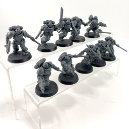 Intercessor d'assaut