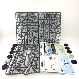 Kill Team : Vespid Stingwings