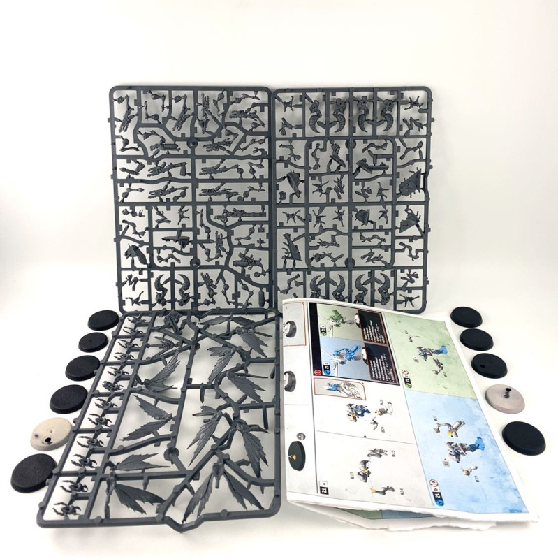 Kill Team : Vespid Stingwings