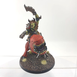 Boss dresseur sur Squigosaure