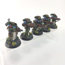 Sternguard Veterans