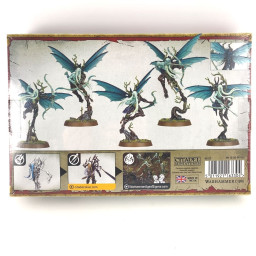 x5 Archers Diaphanes boîte scellée