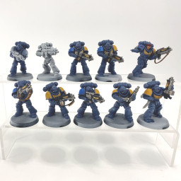 Primaris intercessors