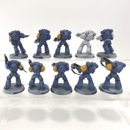Primaris intercessors