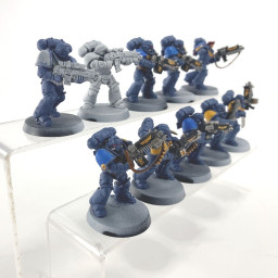 Primaris intercessors