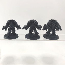 Primaris aggressors