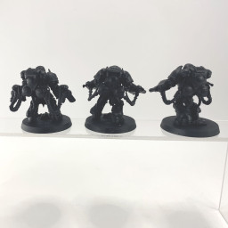 Primaris aggressors