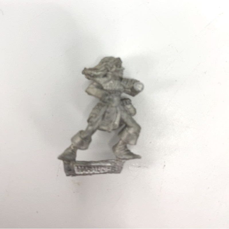 Elfes Noirs Marauder incomplet