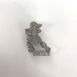 Elfes Noirs Maraudeur  incomplet