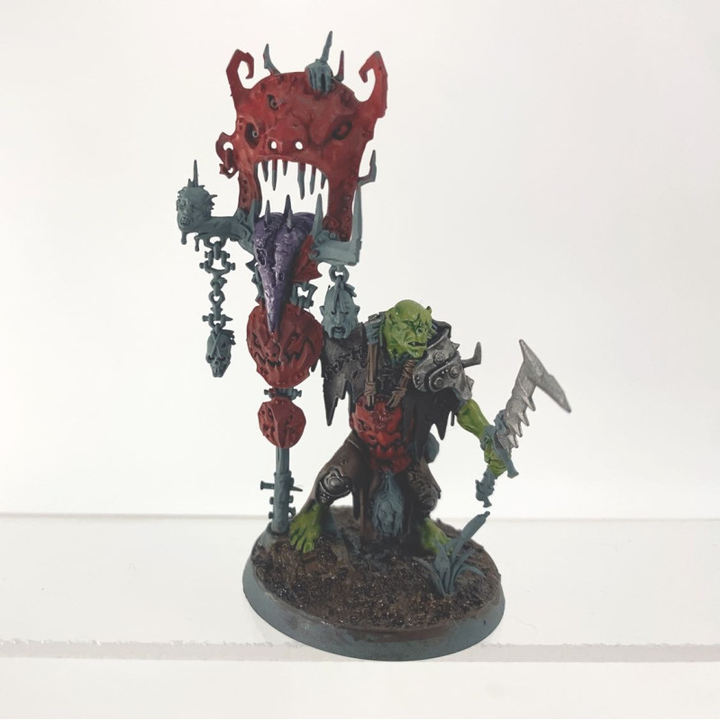 Nobskur avec Rotétendard