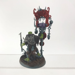 Nobskur avec Rotétendard