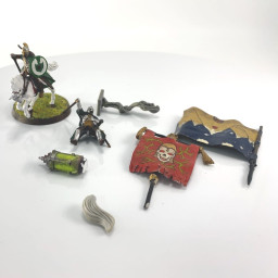rabiots