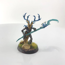Branchwych