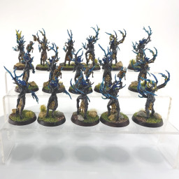Sylvaneth Dryads incomplet