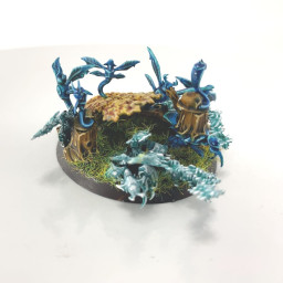 Enduring Spells Sylvaneth...