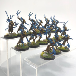Sylvaneth Dryads