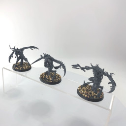 Slaangor Fiendbloods